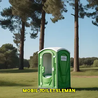 mobil toilet sleman